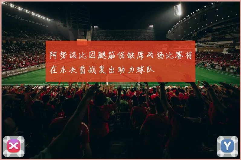 阿努诺比因腿筋伤缺席两场比赛将在东决首战复出助力球队