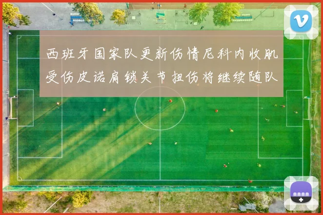 西班牙国家队更新伤情尼科内收肌受伤皮诺肩锁关节扭伤将继续随队训练