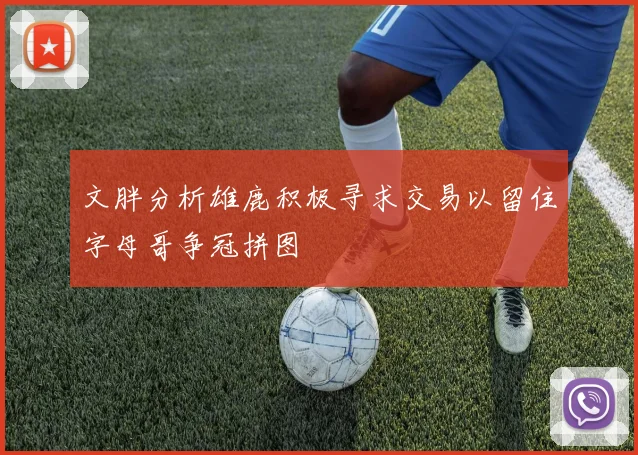 文胖分析雄鹿积极寻求交易以留住字母哥争冠拼图
